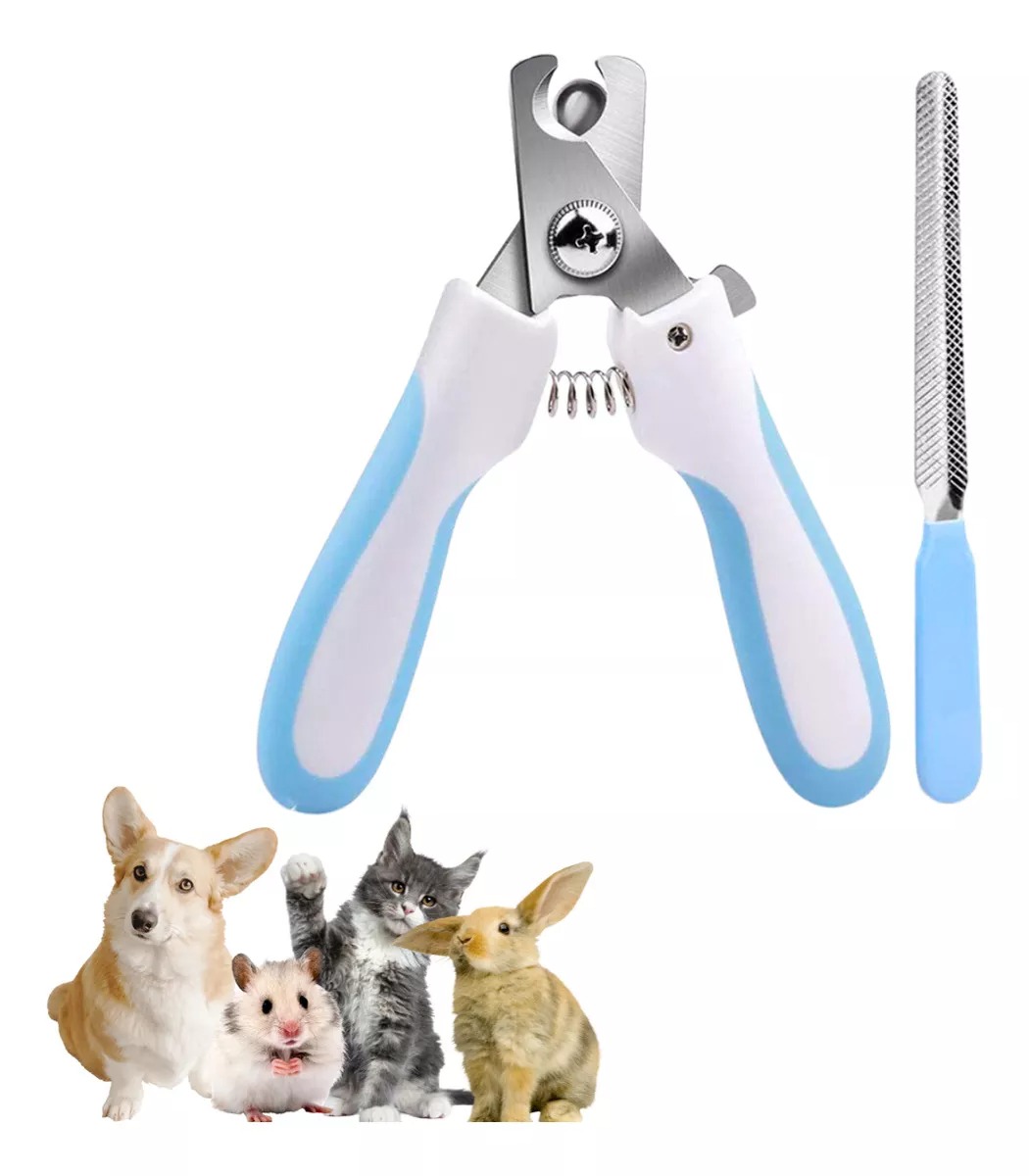 D25-KITTESOURAUNHAPETAZUL